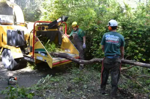 tree services Wall Lake